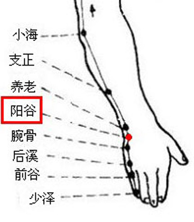 陽谷穴→明目安神