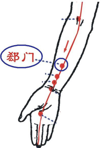 郄門穴→治心痛、心悸