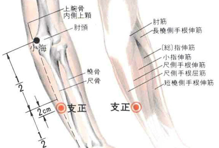 支正穴→治頭痛、目眩