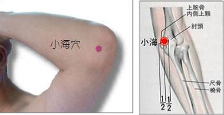 小海穴→治貧血、頭痛