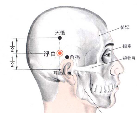 浮白穴→治頭痛、耳嗚