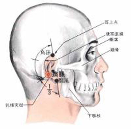 瘈脈穴→頭痛、耳聾
