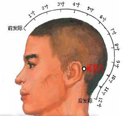 顱息穴→治頭痛、耳痛