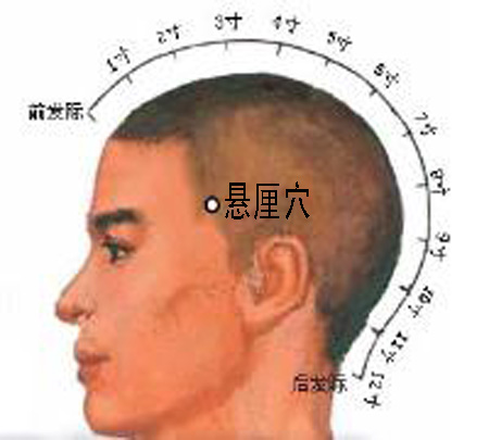 懸厘穴→治偏頭痛、面腫