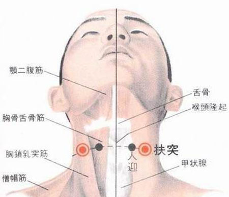 扶突穴→治干咳、氣喘