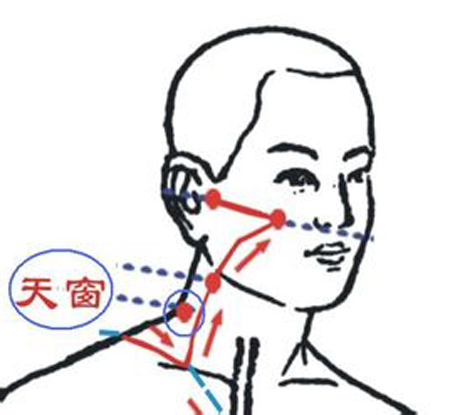 天窗穴→治耳鳴、耳聾