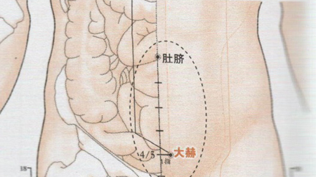 天赫穴→益腎固陽