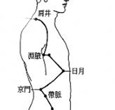 日月穴→疏肝利膽