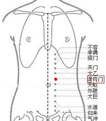 滑肉門(mén)穴→鎮(zhèn)靜安神