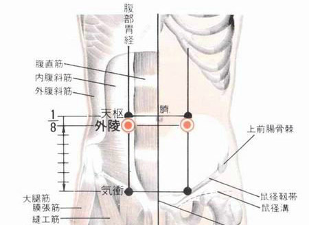 外陵穴→和胃化濕