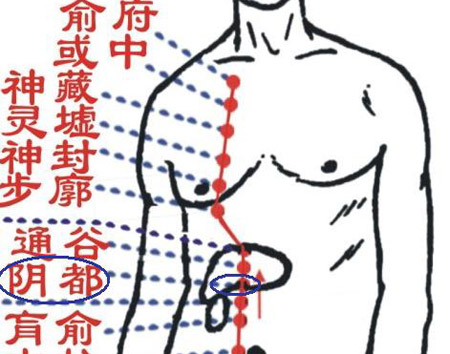 陰都穴→治腹脹、胃痛