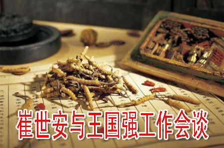 崔世安與王國強(qiáng)工作會談