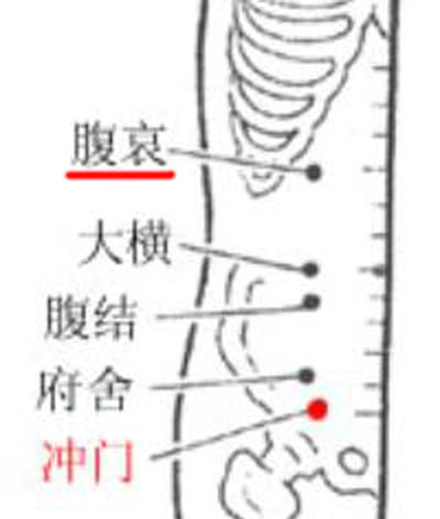 腹哀穴→治腹痛、便秘