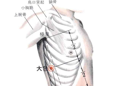 大包穴→治胸脅痛