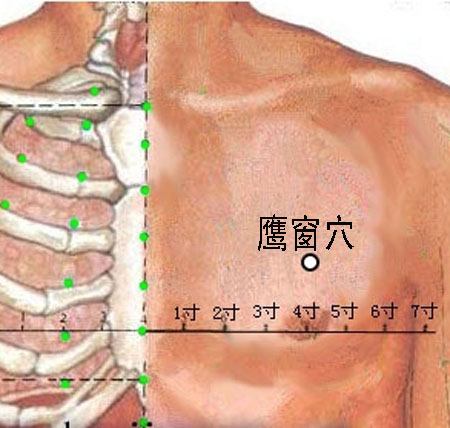 鷹窗穴→治咳嗽、氣喘