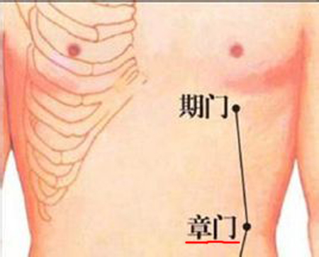 章門穴→治腹痛、腹脹