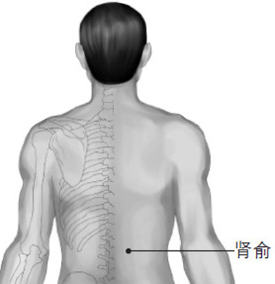 腎俞穴→強腰利水