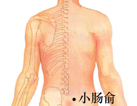 小腸俞穴→清熱利濕