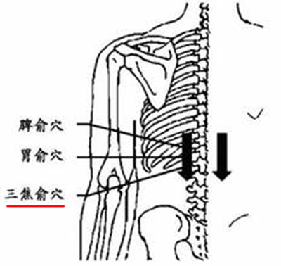 三焦俞穴→強(qiáng)腰利水