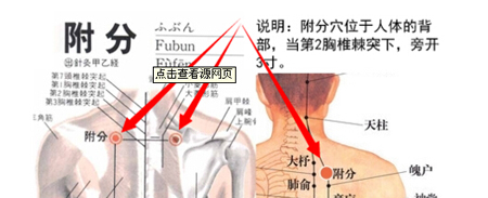 附分穴→治頸項(xiàng)強(qiáng)痛