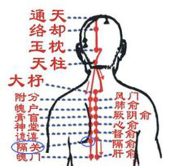 膈關(guān)穴→治胸悶、噯氣