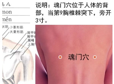 魂門穴→治胸脅痛、嘔吐