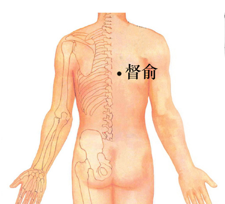 督俞穴→治心痛、胸悶