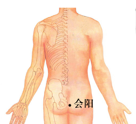 會陽穴→治泄瀉、便血