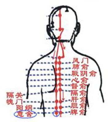 意舍穴→治腹脹、腸鳴