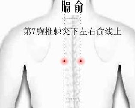 膈俞穴→治嘔吐、呃逆