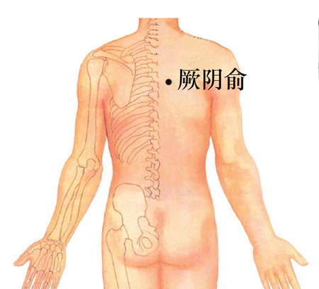 厥陰俞穴→治咳嗽、心痛