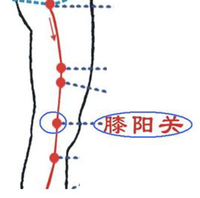 膝陽(yáng)關(guān)穴→祛風(fēng)除濕