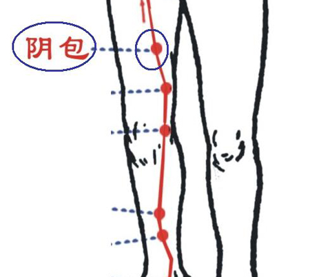 陰包穴→治小便不利