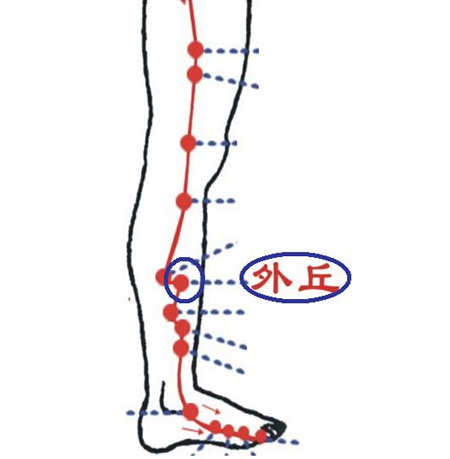 外丘穴→治頸項(xiàng)強(qiáng)痛