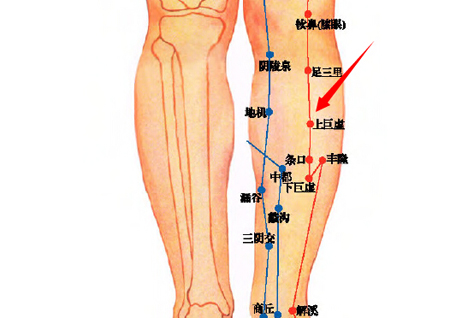 上巨虛穴→治腸鳴、腹痛