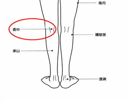 委中穴→治腰痛、腹痛。