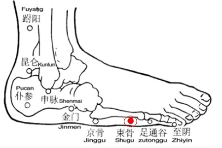 束骨穴→清頭明目