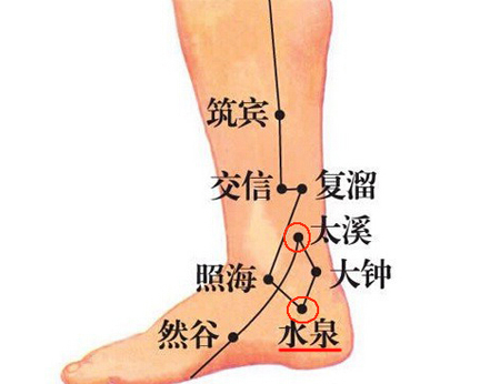 水泉穴→治小便不利、腹痛