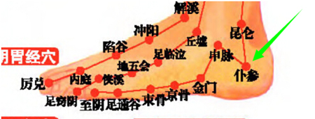 仆參穴→治膝關節(jié)炎