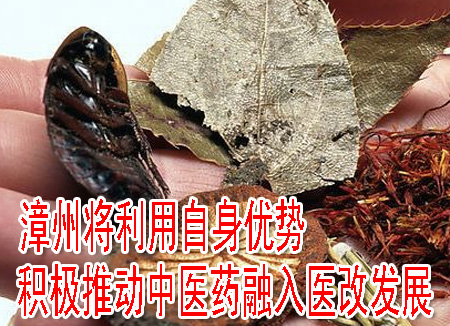 漳州將利用自身優(yōu)勢(shì) 積極推動(dòng)中醫(yī)藥融入醫(yī)改發(fā)展