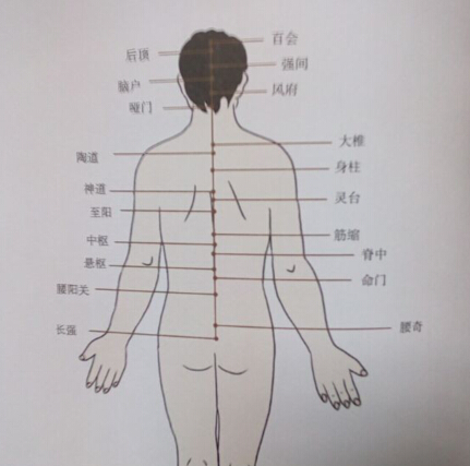 督脈拔罐線路