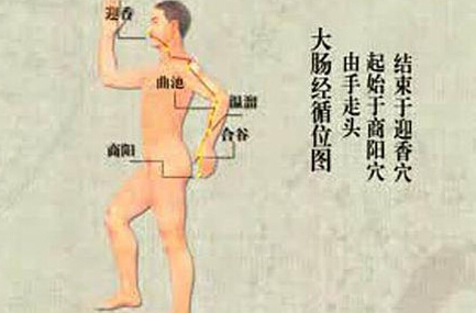 刮痧刮大腸經(jīng)，可以清理腸道、排出宿便