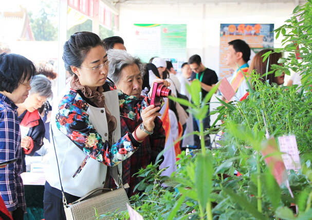 北京地壇中醫(yī)藥健康文化節(jié)以多元化展現(xiàn)形式宣傳中醫(yī)藥