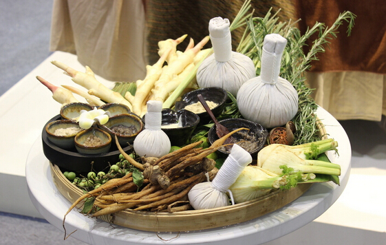 省老促會(huì)搭線幫熱水鎮(zhèn)發(fā)展中草藥種植