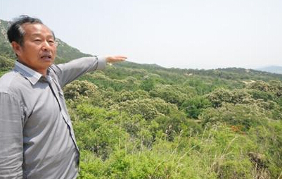 退休老人山谷種百草 8年種下百萬(wàn)棵藥樹(shù)
