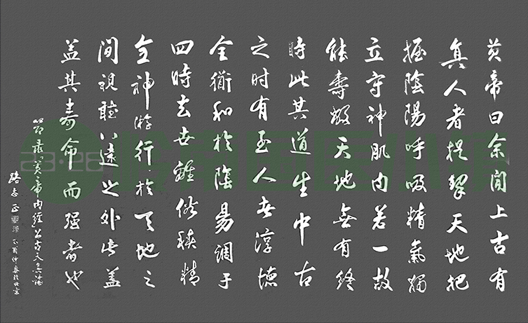 書(shū)畫(huà)欣賞