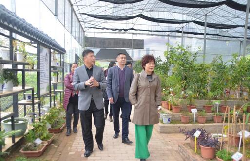 廣州市旅游局規(guī)劃發(fā)展處處長葉濤率隊來我園考察調研