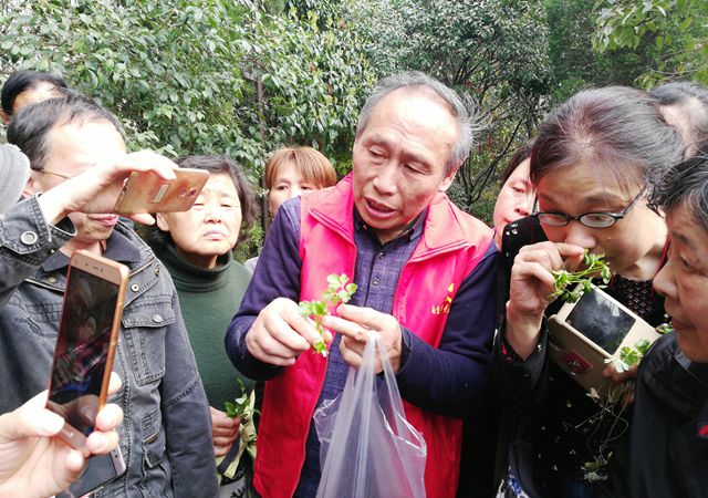 春游踏青尋百草，跟名中醫(yī)認(rèn)草藥