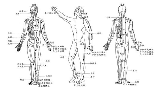 經(jīng)絡(luò)是人體經(jīng)脈和絡(luò)脈的總稱(chēng)