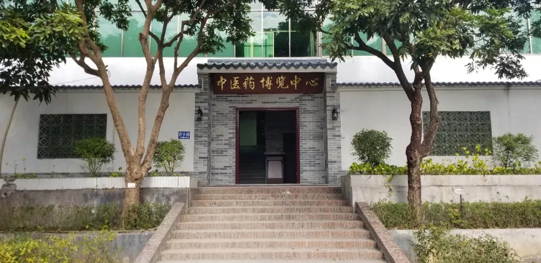【科技開放日】嶺南中醫(yī)藥文化博覽園科普基地歡迎您！